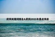 武冈关键词排名&amp;武冈2021年重点项目