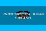  分享经验 灵尊大厅 可以开挂吗(真实可以装挂)知乎