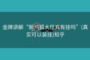 金牌讲解“新鸿狐大厅真有挂吗”(真实可以装挂)知乎