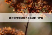 昌江区关键词排名&amp;昌江区门户网
