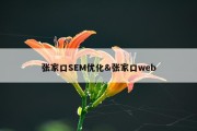 张家口SEM优化&amp;张家口web