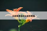 小白实用话术&amp;话术教程