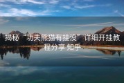 揭秘“功夫熊猫有挂没”详细开挂教程分享 知乎