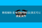  教程辅助 星月互娱 有挂没(真实可以装挂)知乎