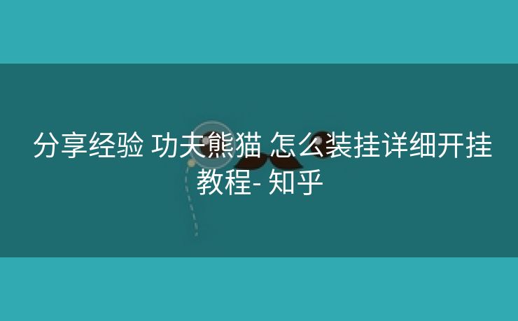  分享经验 功夫熊猫 怎么装挂详细开挂教程- 知乎