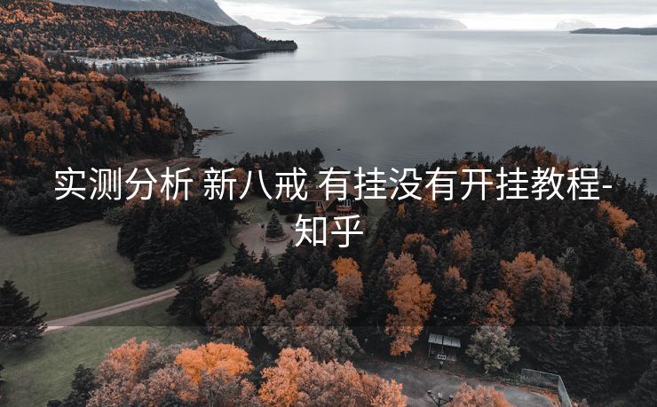  实测分析 新八戒 有挂没有开挂教程-知乎