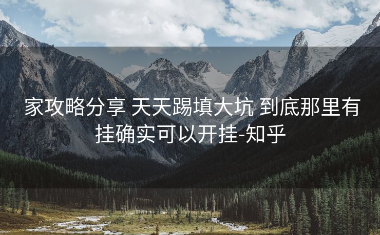 家攻略分享 天天踢填大坑 到底那里有挂确实可以开挂-知乎 家攻略分享 天天踢填大坑 到底那里有挂确实可以开挂-知乎