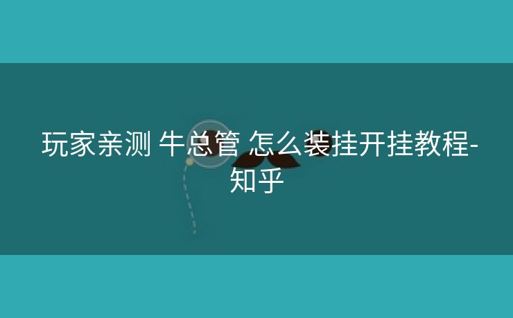 玩家亲测 牛总管 怎么装挂开挂教程-知乎 玩家亲测 牛总管 怎么装挂开挂教程-知乎