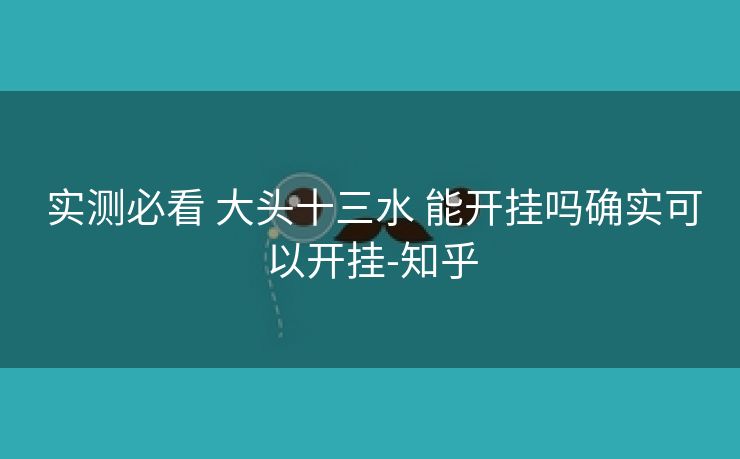  实测必看 大头十三水 能开挂吗确实可以开挂-知乎
