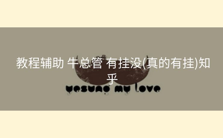  教程辅助 牛总管 有挂没(真的有挂)知乎