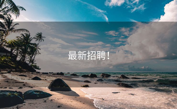 最新招聘！