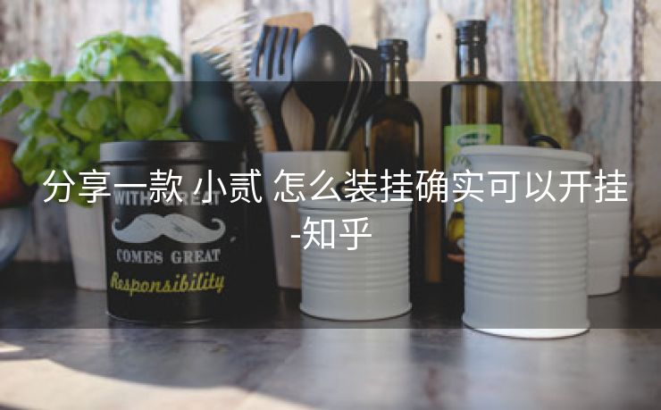  分享一款 小贰 怎么装挂确实可以开挂-知乎