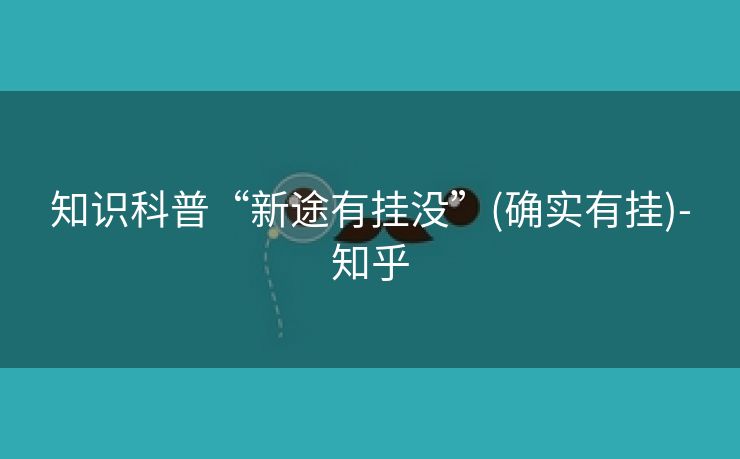 知识科普“新途有挂没”(确实有挂)-知乎