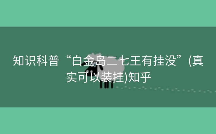 知识科普“白金岛二七王有挂没”(真实可以装挂)知乎