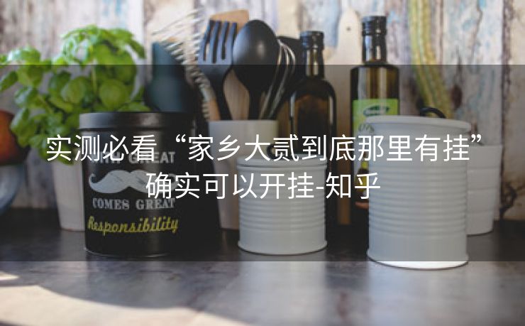 实测必看“家乡大贰到底那里有挂”确实可以开挂-知乎 实测必看“家乡大贰到底那里有挂”确实可以开挂-知乎