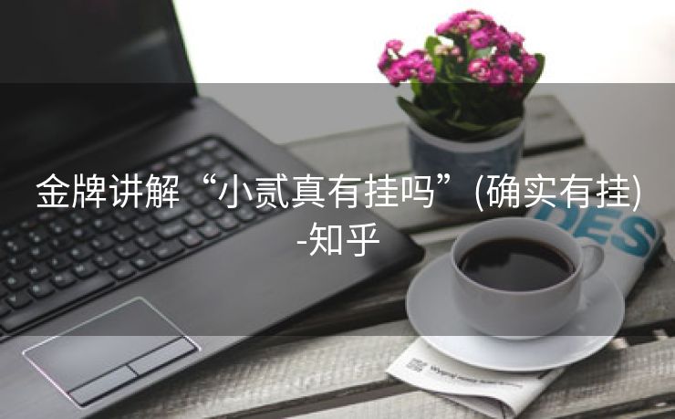 金牌讲解“小贰真有挂吗”(确实有挂)-知乎