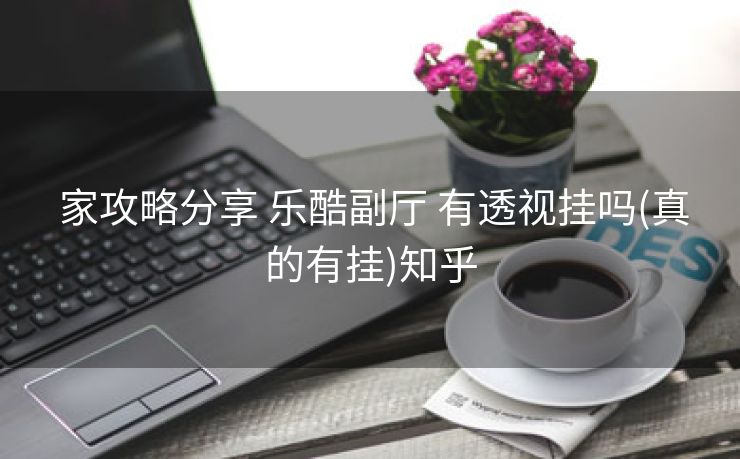  家攻略分享 乐酷副厅 有透视挂吗(真的有挂)知乎