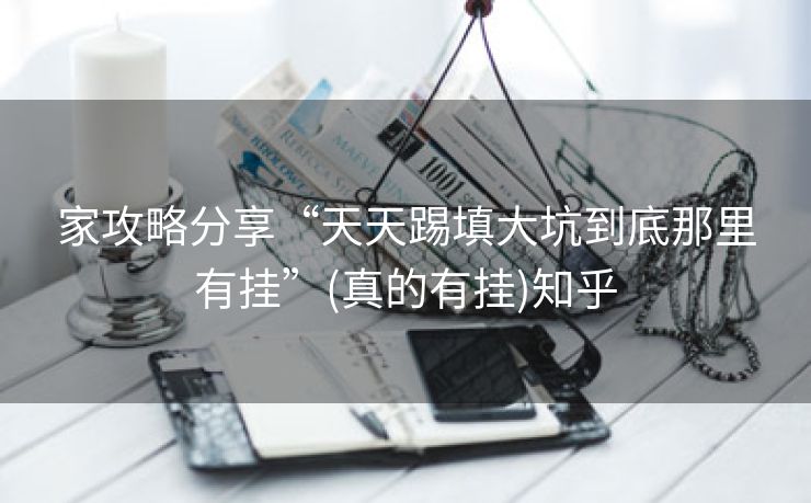 家攻略分享“天天踢填大坑到底那里有挂”(真的有挂)知乎
