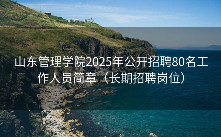 山东管理学院2025年公开招聘80名工作人员简章（长期招聘岗位）
