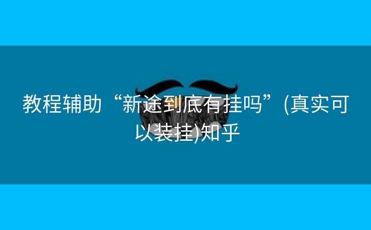 教程辅助“新途到底有挂吗”(真实可以装挂)知乎