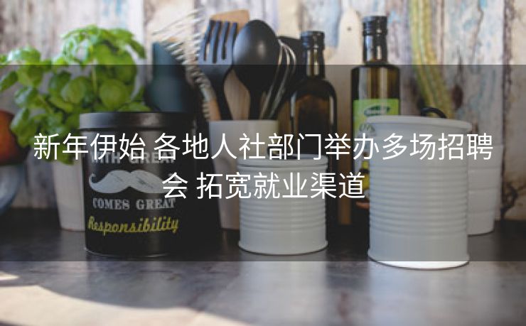 新年伊始 各地人社部门举办多场招聘会 拓宽就业渠道