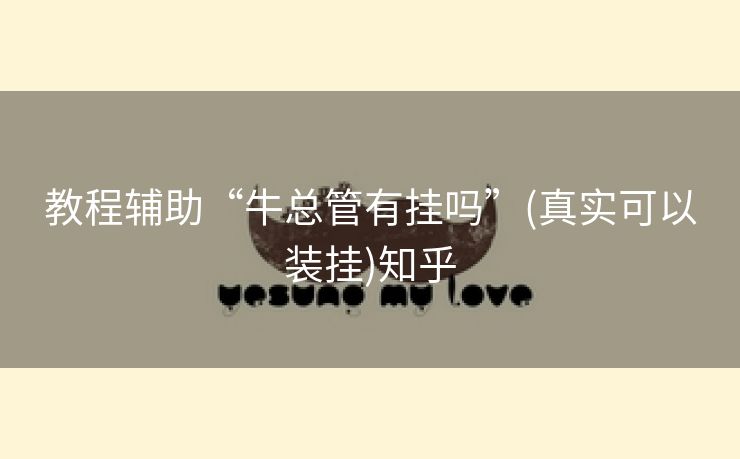 教程辅助“牛总管有挂吗”(真实可以装挂)知乎 教程辅助“牛总管有挂吗”(真实可以装挂)知乎