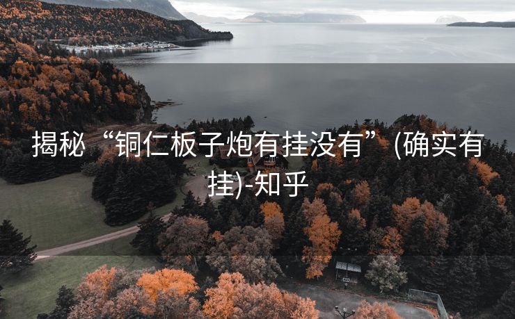 揭秘“铜仁板子炮有挂没有”(确实有挂)-知乎