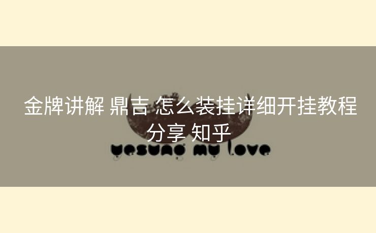  金牌讲解 鼎吉 怎么装挂详细开挂教程分享 知乎