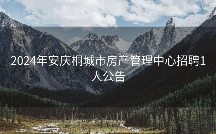 2024年安庆桐城市房产管理中心招聘1人公告