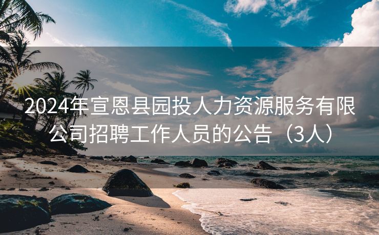 2024年宣恩县园投人力资源服务有限公司招聘工作人员的公告（3人）