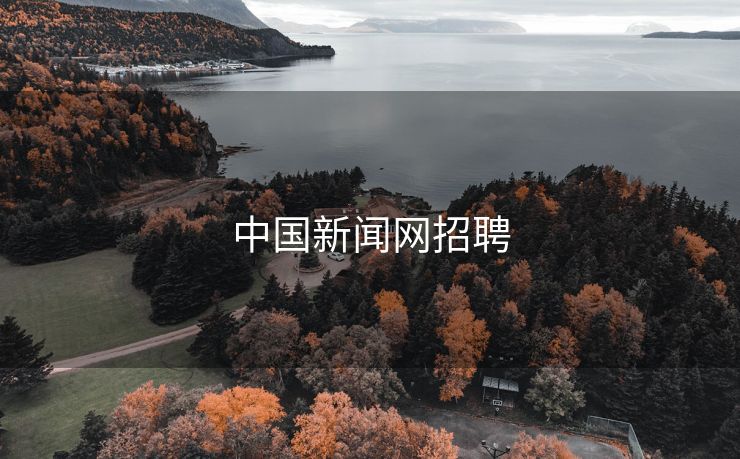 中国新闻网招聘