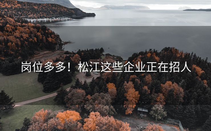 岗位多多！松江这些企业正在招人