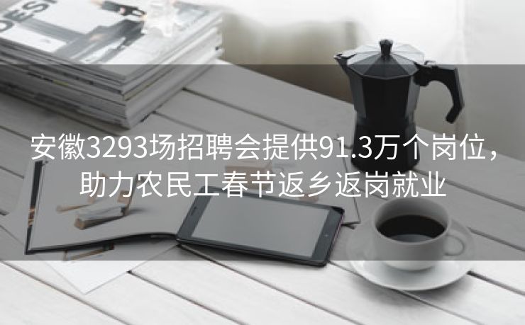 安徽3293场招聘会提供91.3万个岗位，助力农民工春节返乡返岗就业