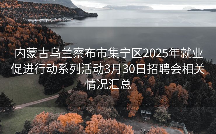 内蒙古乌兰察布市集宁区2025年就业促进行动系列活动3月30日招聘会相关情况汇总