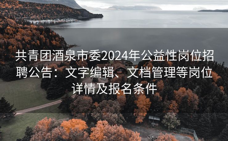 共青团酒泉市委2024年公益性岗位招聘公告：文字编辑、文档管理等岗位详情及报名条件