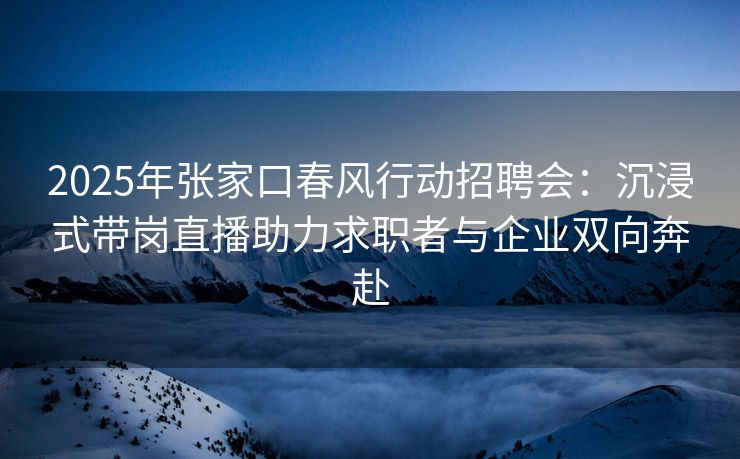 2025年张家口春风行动招聘会：沉浸式带岗直播助力求职者与企业双向奔赴