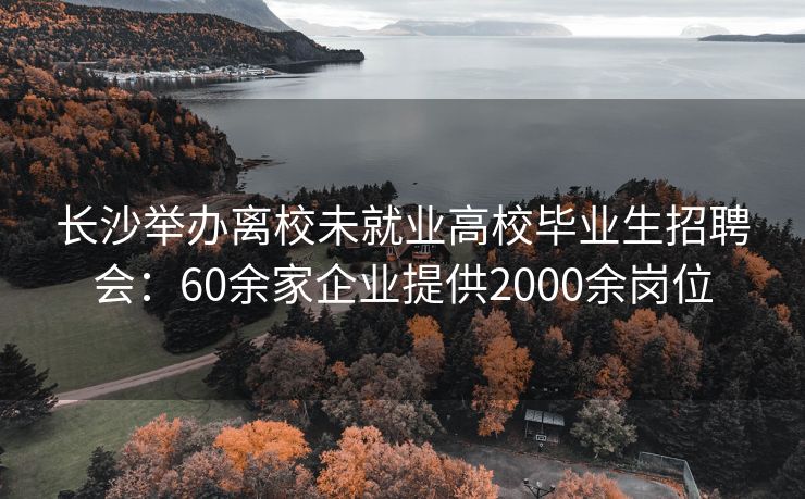 长沙举办离校未就业高校毕业生招聘会：60余家企业提供2000余岗位