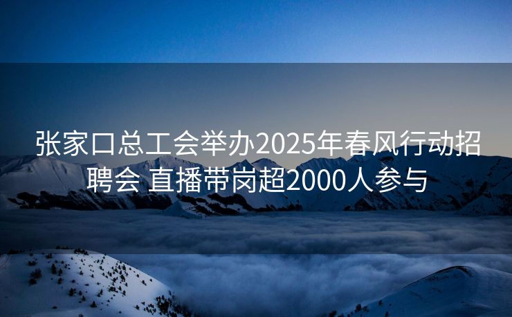 张家口总工会举办2025年春风行动招聘会 直播带岗超2000人参与