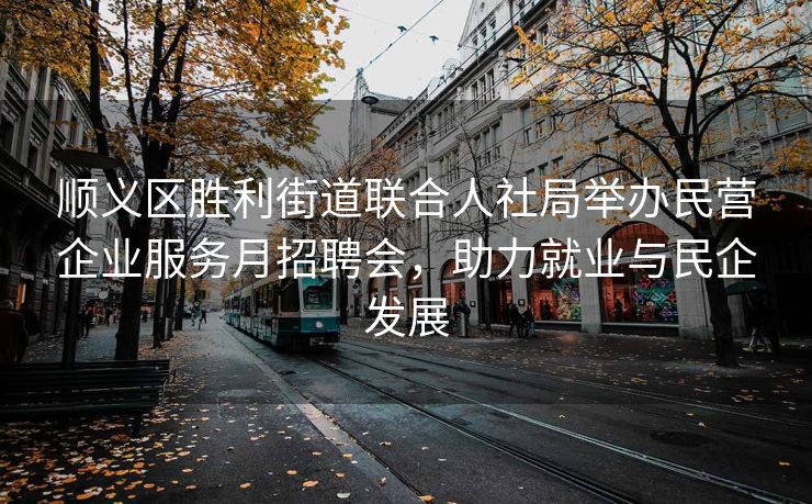 顺义区胜利街道联合人社局举办民营企业服务月招聘会，助力就业与民企发展
