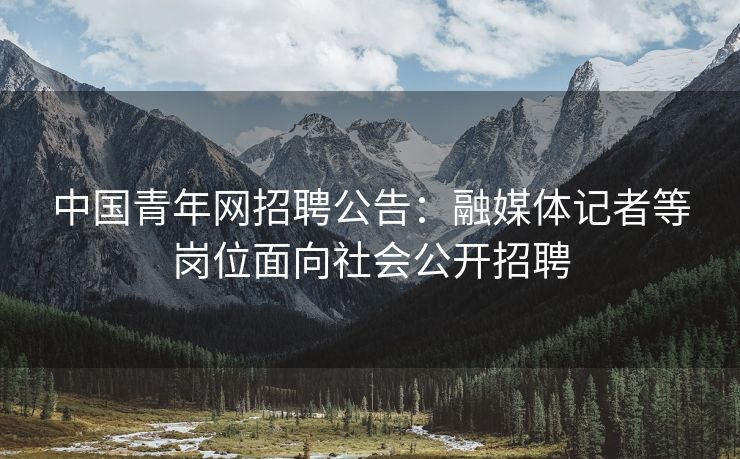 中国青年网招聘公告：融媒体记者等岗位面向社会公开招聘
