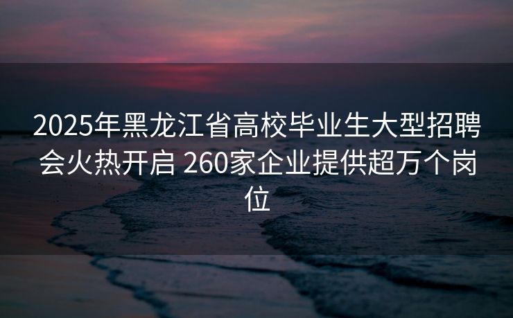 2025年黑龙江省高校毕业生大型招聘会火热开启 260家企业提供超万个岗位