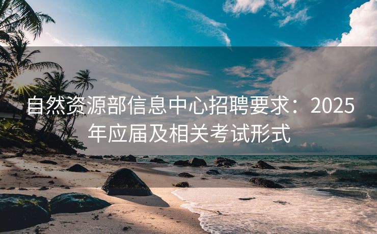 自然资源部信息中心招聘要求：2025年应届及相关考试形式