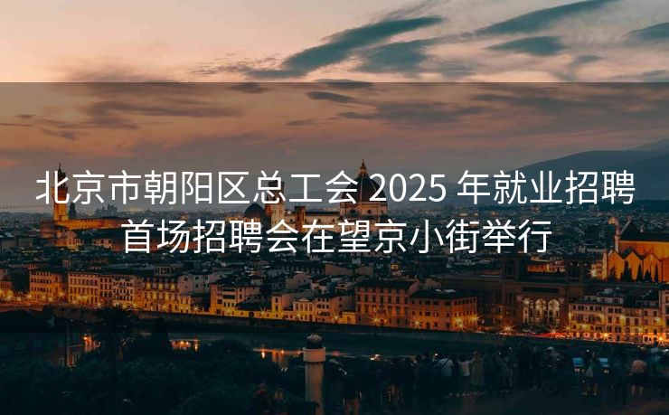 北京市朝阳区总工会 2025 年就业招聘首场招聘会在望京小街举行