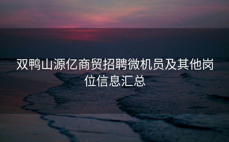 双鸭山源亿商贸招聘微机员及其他岗位信息汇总
