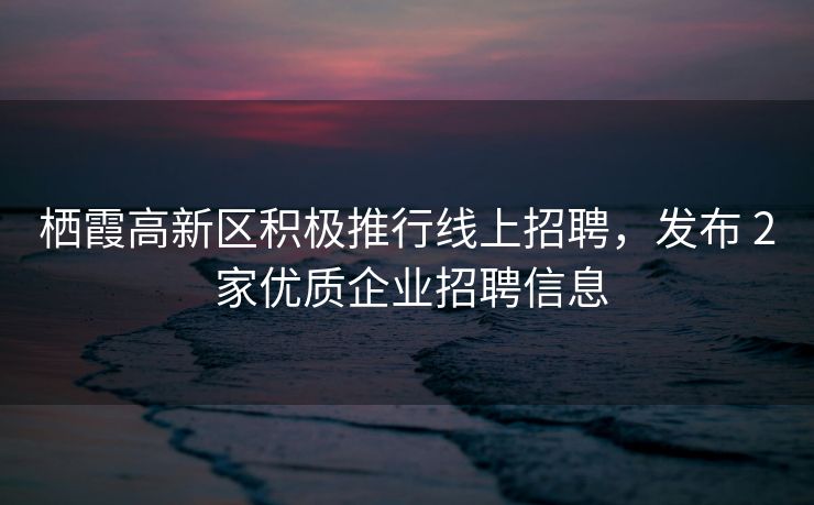 栖霞高新区积极推行线上招聘，发布 2 家优质企业招聘信息