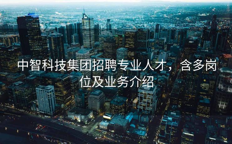 中智科技集团招聘专业人才，含多岗位及业务介绍