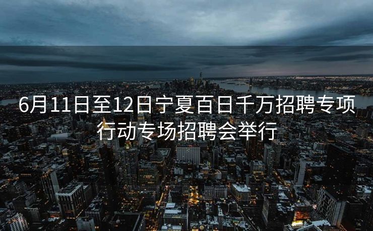 6月11日至12日宁夏百日千万招聘专项行动专场招聘会举行