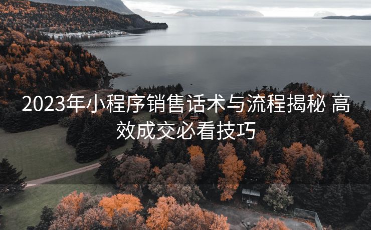 2023年小程序销售话术与流程揭秘 高效成交必看技巧