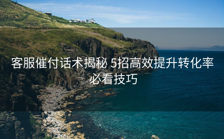 客服催付话术揭秘 5招高效提升转化率 必看技巧