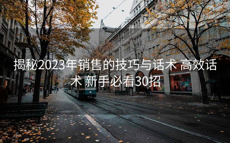 揭秘2023年销售的技巧与话术 高效话术 新手必看30招